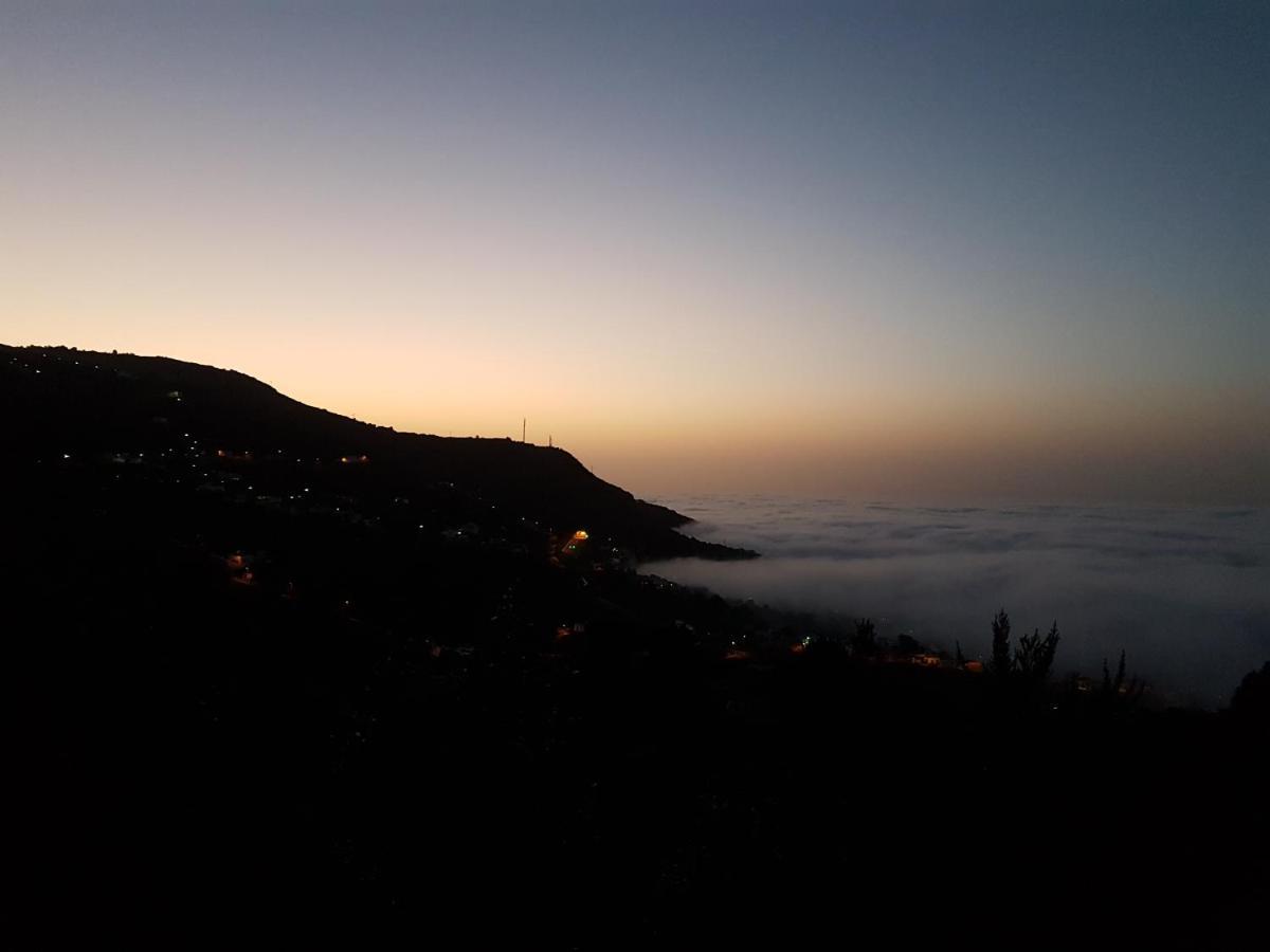 Finca Los Ciruelos Casas Rurales อิคอดเดลอสวินอส ภายนอก รูปภาพ