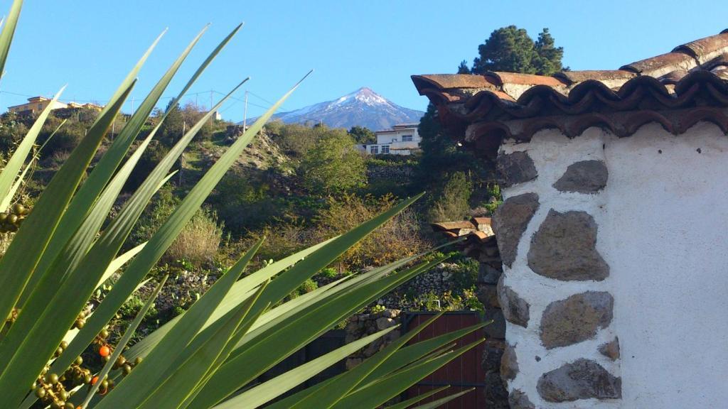 Finca Los Ciruelos Casas Rurales อิคอดเดลอสวินอส ภายนอก รูปภาพ